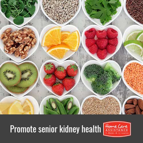Promoting Kidney Health