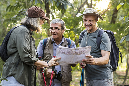 Fun Activities For The Elderly