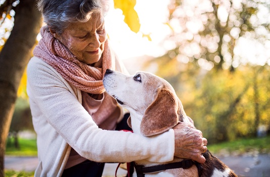 Activities for Older Adults Who Lead Sedentary Lives in Philadelphia, PA